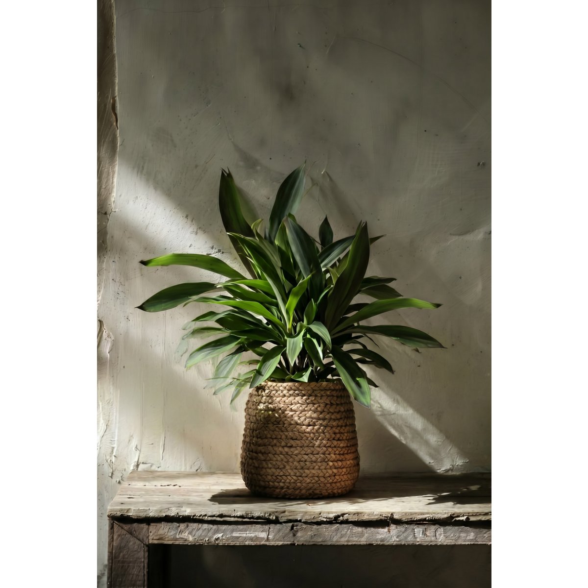 Concrete planter 26.7 cm – braided texture, natural