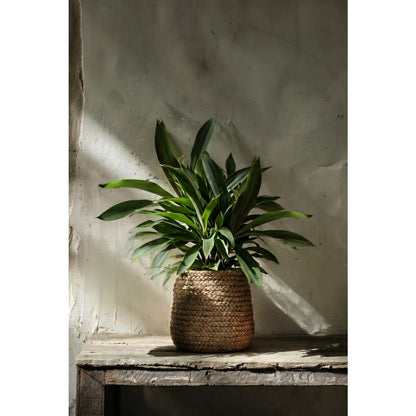 Concrete planter 26.7 cm – braided texture, natural