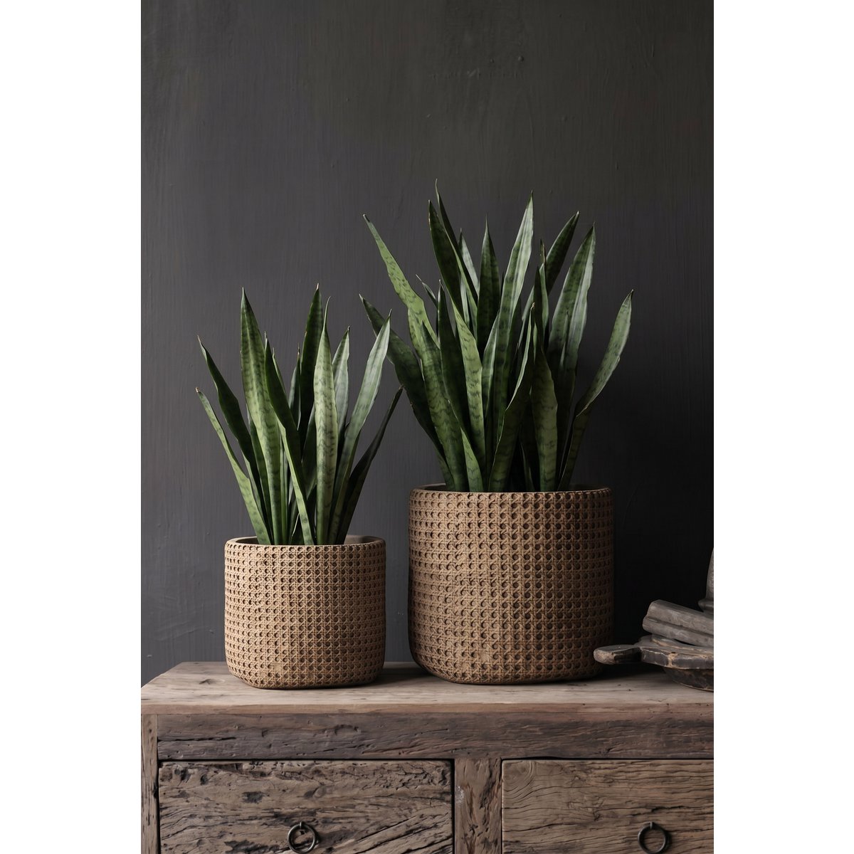 Betonurtepotte med fletværk af rattan, ekstra stor - Natur