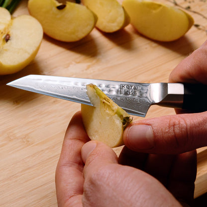 Bunka Damascus Starter-Set, 2 Messer – Schäl- und Santokumesser