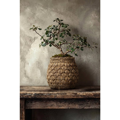 Beton-Knoten-Pflanzgefäß XL – 28 × 28 × 25 cm