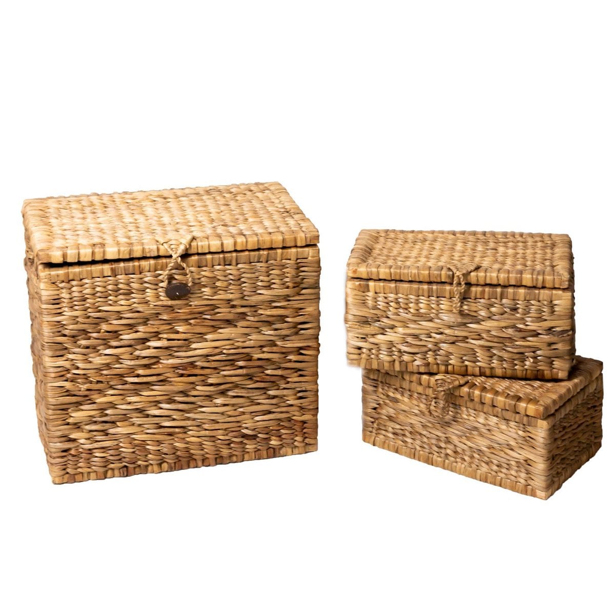 Vandhyacint opbevaringskiste med låg KELANA L – 55×34×50 cm