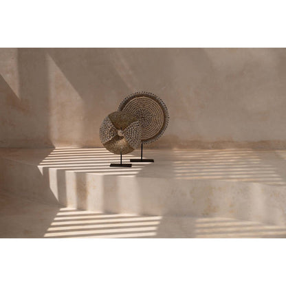 Shell decorative sculpture on stand - natural white