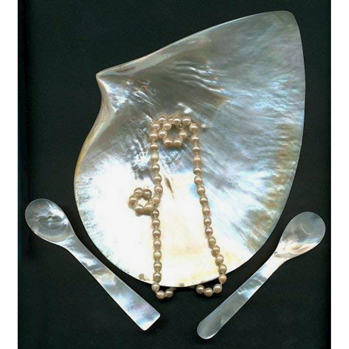 Perlmutt Kaviar Löffel, 2er Set, 11 cm – abgerundete Ecken