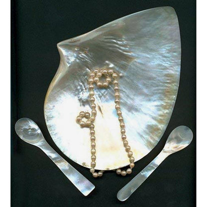 Perlmutt Kaviar Löffel, 2er Set, 11 cm – abgerundete Ecken